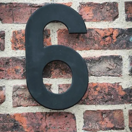 Number 6