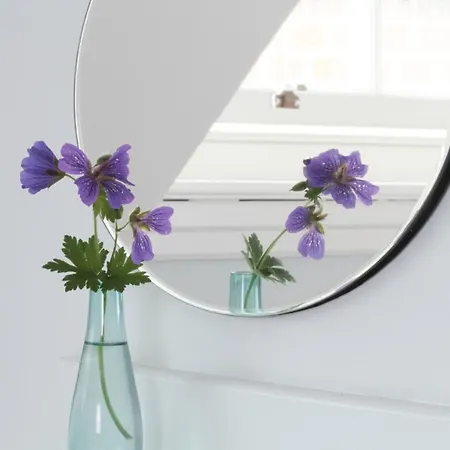 Bed & Breakfast Number 6 4*